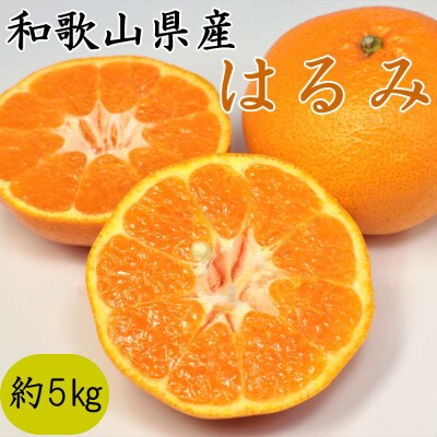 【厳選・濃厚】和歌山県産のはるみ約5kg(サイズおまかせ)(かつらぎ町)