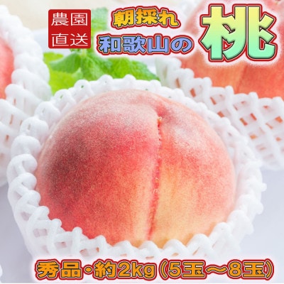 【農園直送】朝採れの和歌山の桃　約2kg・秀品【2026年度発送分】(かつらぎ町)