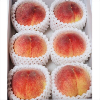 【農園直送】朝採れの和歌山の桃　約4kg・秀品【2026年度発送分】(かつらぎ町)