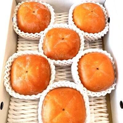 【秋の味覚】和歌山産たねなし柿約2kg 化粧箱入り(2L～4Lサイズ)(かつらぎ町)