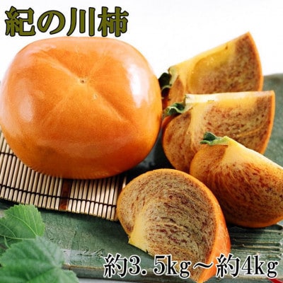 【希少】紀の川柿(たねなし)約3.5～4kg・秀品【かつらぎ町】