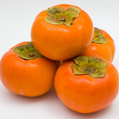 【厳選・産直】和歌山産富有柿約4kg 化粧箱入り(2L～4Lサイズおまかせ)【かつらぎ町】