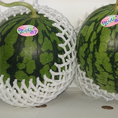 【産直】和歌山産小玉すいか「ひとりじめ7」2玉入計約3.5kg以上【かつらぎ町】【2026年度発送】