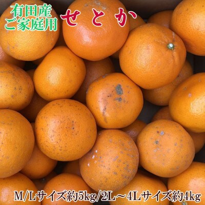 (訳あり・ご家庭用)一度は食べていただきたい「有田産のせとか」約4kg～5kg【かつらぎ町】