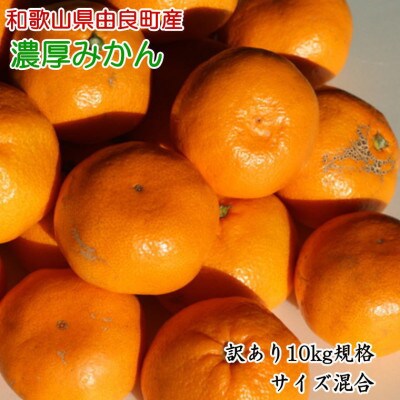 【訳あり・ご家庭用】和歌山由良町産のみかん 約10kg(サイズ混合)(かつらぎ町)