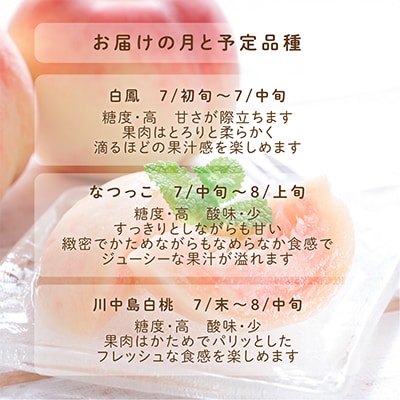先行受付!　旬の桃　(特秀品)食べきりやすい3個入り