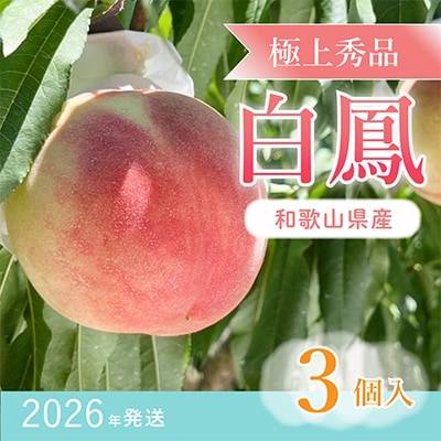 桃先行受付!　桃の王様【白鳳】　特秀品　食べきりやすい3個入り