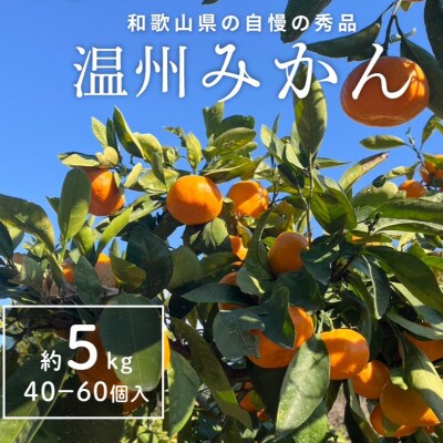 温州みかん先行予約!和歌山県産ミカン約5kg(40個～60個入)秀品　味に自信あり!こだわり農家厳選