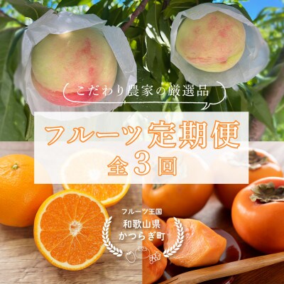 【発送月固定定期便】フルーツ定期便　品質に自信あり!道の駅よりこだわり農家厳選品!全3回