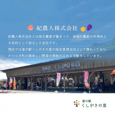 【発送月固定定期便】フルーツ定期便　品質に自信あり!道の駅よりこだわり農家厳選品!全3回