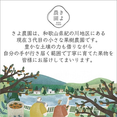 先行受付　不知火　希少な樹上完熟!　秀品大玉　6個入