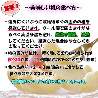 【秀品】和歌山ブランド白桃約2kg!【8月発送分】
