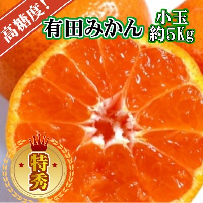 有田みかん小玉【特秀品S～Mサイズ 高糖度】約5kg!　2026年10月以降順次発送
