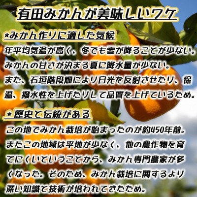 有田みかん小玉【特秀品S～Mサイズ 高糖度】約5kg!　2026年10月以降順次発送