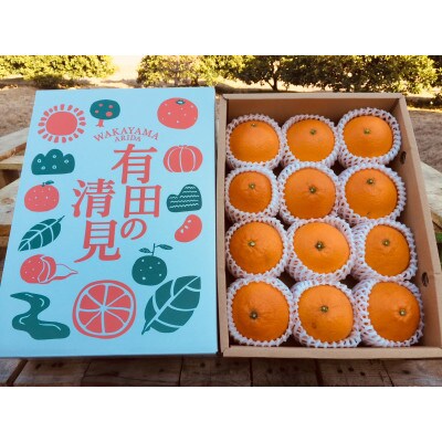 【まごころ手選別】和歌山県産　清見　化粧箱　12玉入り　Lサイズ【2027年3月上旬より順次発送】