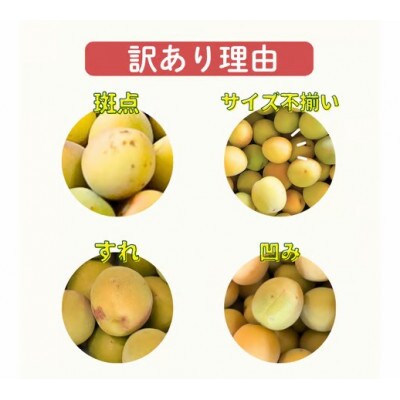 【訳あり・ご家庭用】完熟 南高梅 約10kg (+補償100g) サイズ混合 カキエモン農園
