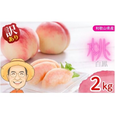 【訳あり・ご家庭用】桃 白鳳 約2kg 箱 (8～9個) サイズ混合 カキエモン農園