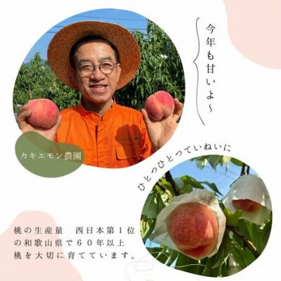 【訳あり・ご家庭用】桃 白鳳 約2kg 箱 (8～9個) サイズ混合 カキエモン農園