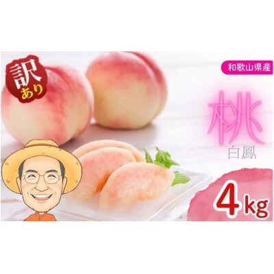 【訳あり・ご家庭用】桃 白鳳 約4kg 箱 (13～15個) サイズ混合 カキエモン農園