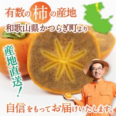 紀の川柿 約5kg カキエモン農園