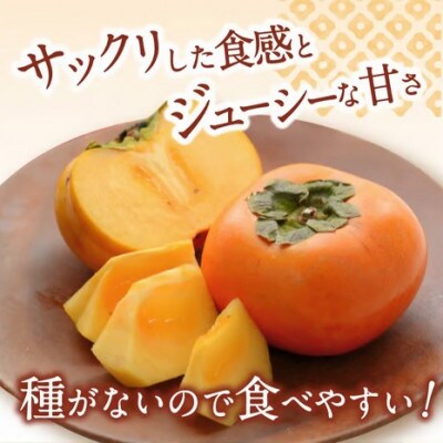 秀品 たねなし柿 約5kg カキエモン農園