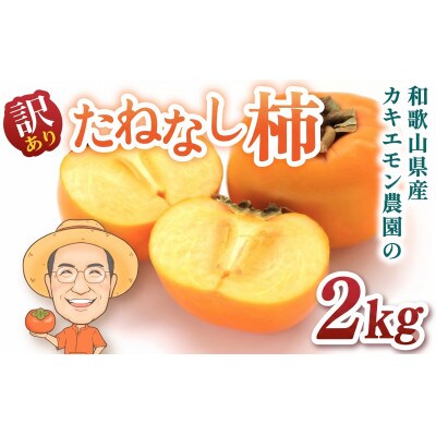 【訳あり・ご家庭用】たねなし柿 約2kg カキエモン農園