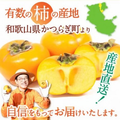 【訳あり・ご家庭用】たねなし柿 約2kg カキエモン農園
