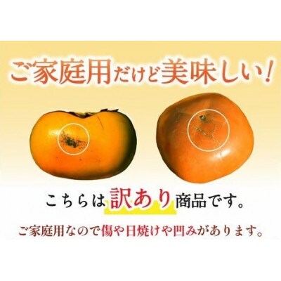 【訳あり・ご家庭用】たねなし柿 約2kg カキエモン農園