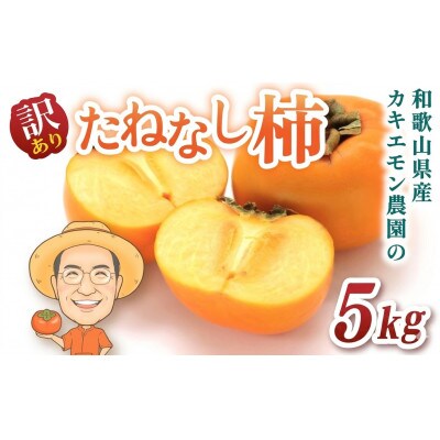 【訳あり・ご家庭用】たねなし柿 約5kg カキエモン農園