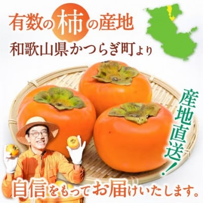 【訳あり・ご家庭用】富有柿 約4kg カキエモン農園