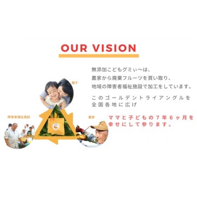 【12袋セット】和歌山県産を中心にした国内産の規格外フルーツ100%!無添加こどもグミぃ～。