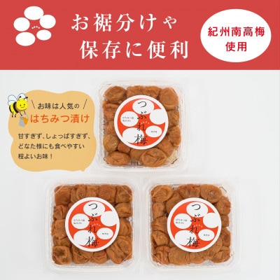 【ご家庭用】紀州南高梅つぶれ梅　はちみつ漬　400g×3パック　塩分8%