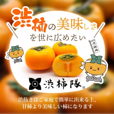 【先行予約】【訳あり】渋あり たねなし柿 約7kg 和歌山の柿農園「渋柿隊」