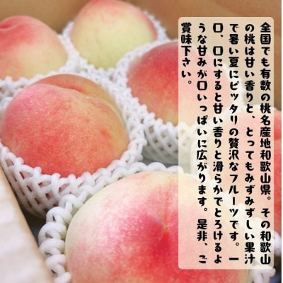 ≪先行予約 2027年6月～発送≫厳選 和歌山のこだわり桃 4～6玉(約1.5kg)