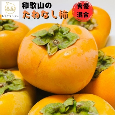 【先行予約】 和歌山のたねなし柿 約2kg【2026年10月～発送】