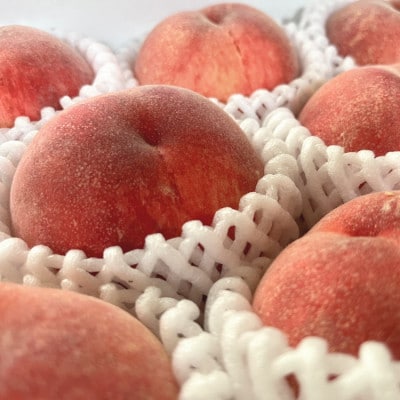 【先行受付】和歌山の桃 秀品6～9玉入り(約2kg) 化粧箱入り【2026年6月～順次発送】