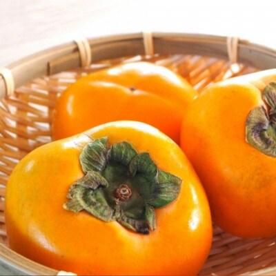 ≪先行予約 2026年10月～発送≫和歌山のたねなし柿 秀品 約2kg(6～9玉)
