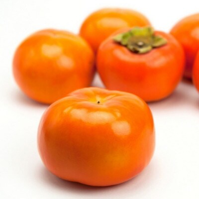 ≪先行予約 2026年10月下旬～発送≫和歌山の富有柿 秀品 約7.5kg