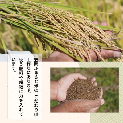 【令和7年7月発送】令和6年産 備中笠岡ふるさと米5kg