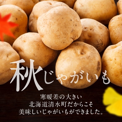 ホクホク食感が魅力の「男爵いも」10kg 先行受付!