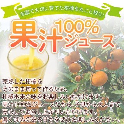 ひさしげ農園　温州みかんジュース3本入