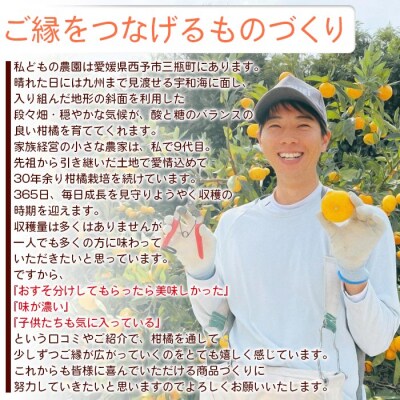 ひさしげ農園　温州みかんジュース3本入