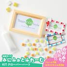 みにふぉとふれーむKIT(クローバー)[167T03-01]