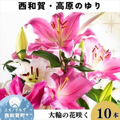 西和賀・高原のユリ 10本