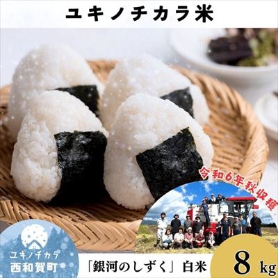 【令和6年度産】ユキノチカラ米　銀河のしずく　白米8kg