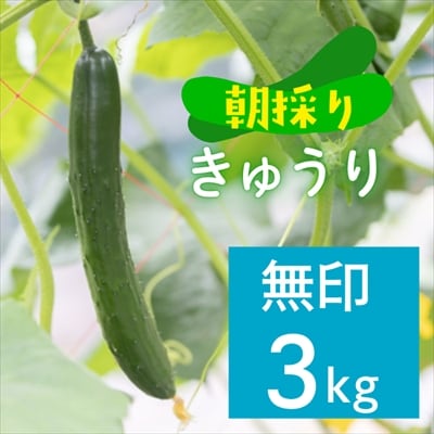 ファーム吉五郎　きゅうり　無印3kg 