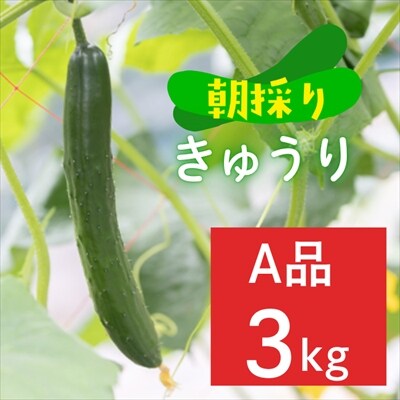 ファーム吉五郎　きゅうり　A品3kg