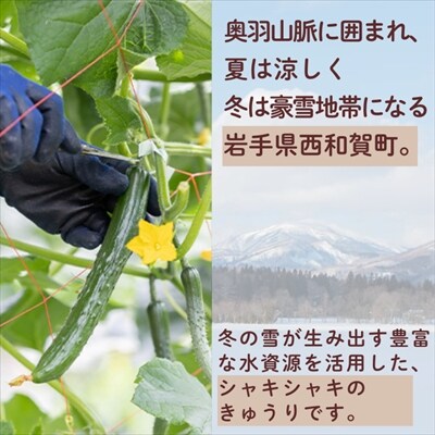 ファーム吉五郎　きゅうり　A品3kg