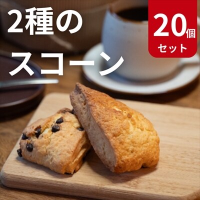 2種のスコーン(チョコチップ・メープル)　20個セット