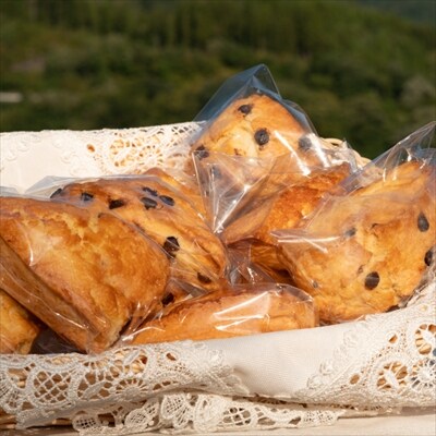 2種のスコーン(チョコチップ・メープル)　20個セット